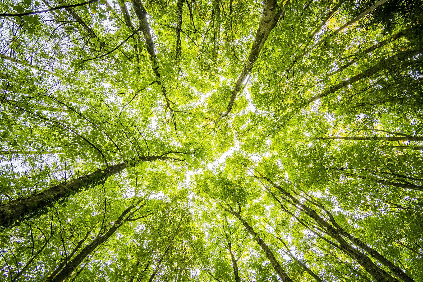 Climate agreement 2026: the state of affairs