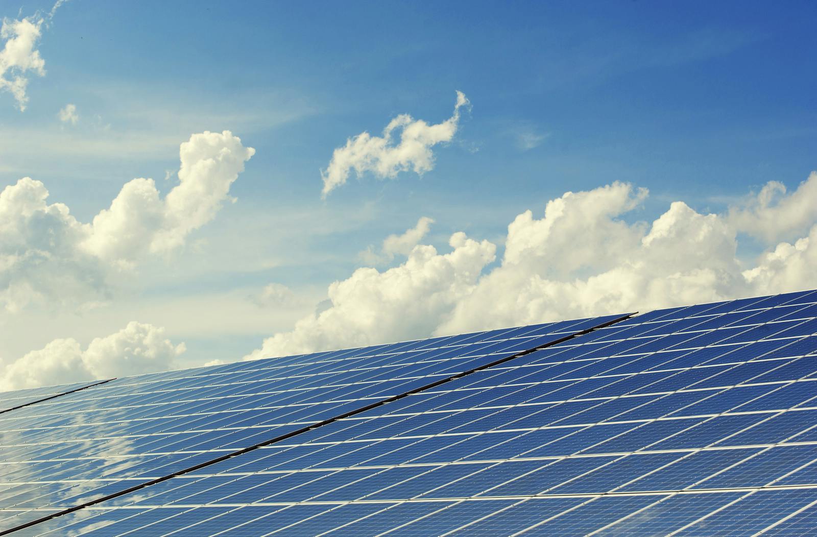 The role of the Netherlands in green energy